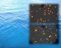 Climate change could transform key bacterial interactions in the ocean by 2100