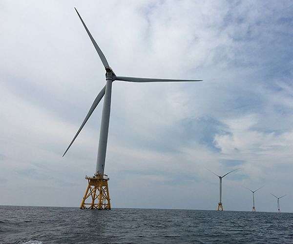 On US coast, wind power foes embrace 'Save the Whales' argument