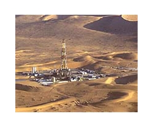 Algeria oil and gas revenues up 25 percent in 2010: minister
