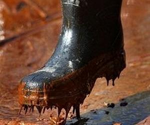 BP Deepwater Horizon oil spill exacerbated existing environmental problems in Louisiana marshes
