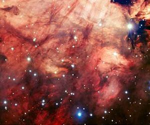 The smoky pink core of the Omega Nebula