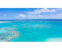 Scientists successfully develop 'heat resistant' coral to fight bleaching