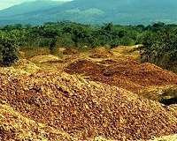 NASA gauges plant stress in Costa Rican drought
