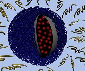 Removable cloak for nanoparticles helps them target tumors