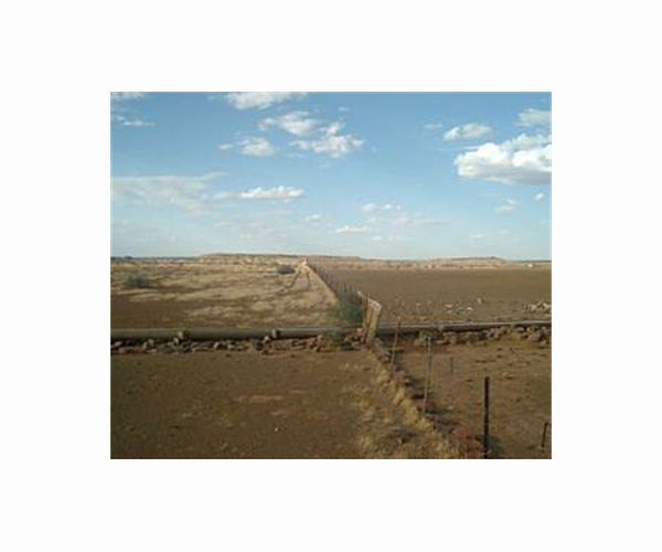 Drought forces Namibia to auction 100 buffalo