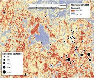 Insect pests more plentiful in hotter parts of city than in cooler areas