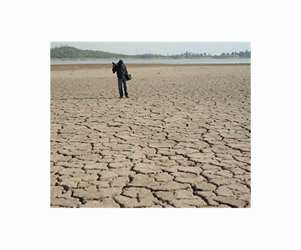 Pakistan drought dents winter harvest