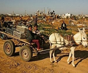 Israeli minister threatens to cut off water for Palestinians