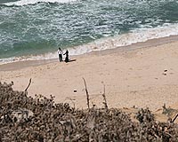 Israel arrests 10 Gazans accused of planning naval attack
