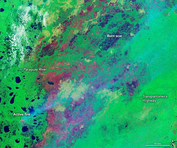 Bolivia forest fires shutter thousands of schools