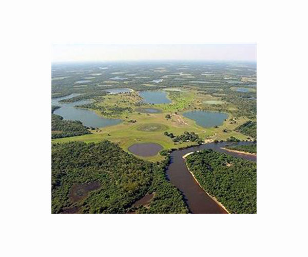 Race to rescue animals as Brazilian wetlands burn