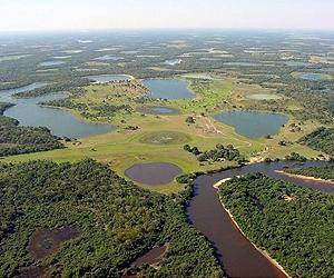 US converts Brazilian debt into environmental protection