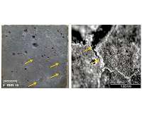 Wax on, melt off: Roads that deice themselves during winter storms