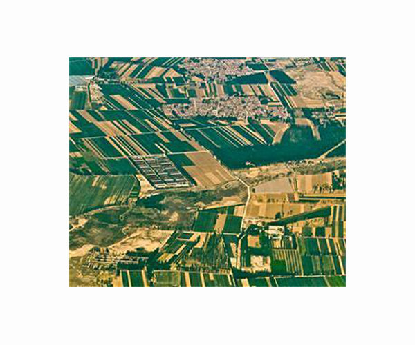 Algerian, Chinese firms announce phosphate mega-deal