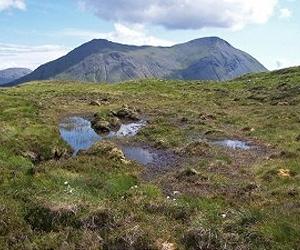 Climate change effect on release of CO2 from peat far greater than assumed