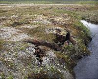 Gradual, prolonged permafrost greenhouse gas emissions forecast