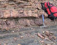 Survey of Permian-Triassic biodiversity offers vision of the future of climate change
