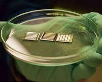 Increased potential for perovskites as a material for solar cells