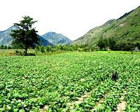 Peru's unpaid agrarian bonds: My family's quest