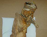 Mummy Lice Found In Peru May Give New Clues About Human Migration