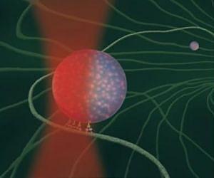 A nano-gear in a nano-motor inside
