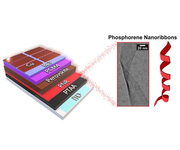 'Wonder material' phosphorene nanoribbons live up to hype in first demonstration