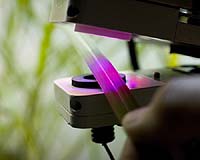 Researchers Successfully Simulate Photosynthesis And Design A Better Leaf