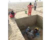 Rice farming used as 'summer crop' by early Indus civilization