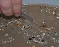 Ocean plastic waste probably comes from ships, report says