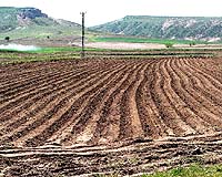 Specially-Designed Soils Could Help Combat Climate Change