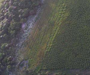 800-Year-Old Farmers Could Teach Us How to Protect the Amazon