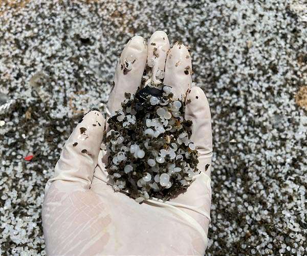 Are plastics in the ocean as big a problem as widely believed?