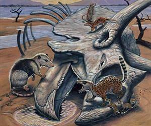 Invasion of genomic parasites triggered modern mammalian pregnancy