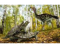 One single primitive turtle resisted mass extinction in the northern hemisphere