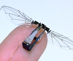 Bionic microrobot mimics the 'water strider' and walks on water
