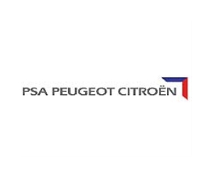 Peugeot 'approves' capital hikes by French state, Chinese partner