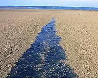 How X-rays helped to solve mystery of floating rocks