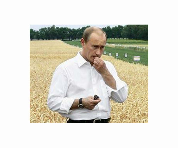 Putin ready to help overcome food crisis if West lifts sanctions