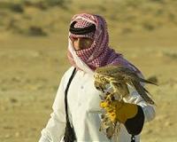 Kremlin-backed falcon project sparks smuggling fears