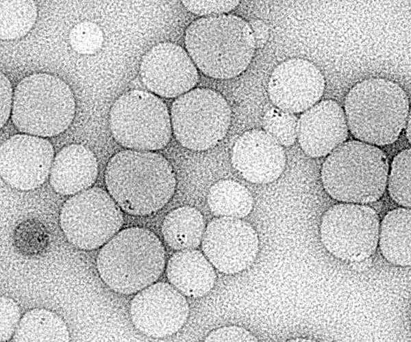Producing more sustainable hydrogen with composite polymer dots