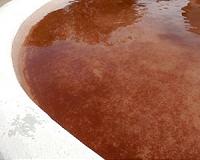 A 'blood rain' infiltrates villages of Spain