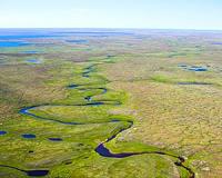 Scientists warn anthrax just one threat as Russian permafrost melts