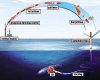 South Korea to produce Red Shark torpedoes
