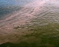 Scientists track fertilizer's effects on Ohio algae bloom