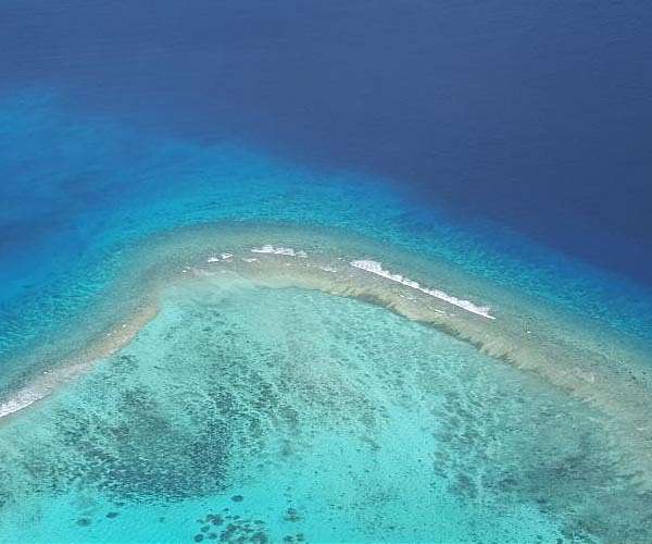 Palau becomes first nation to ratify UN high seas treaty