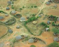 Climate change mitigation project threatens local ecosystem resilience in