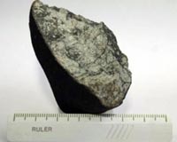 Rock from heavens is a scientists' delight