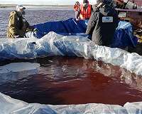 Russia says 'years' needed to clean up Arctic spill