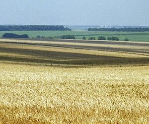 Simulating A Century Of Agriculture Impact On Land And Water