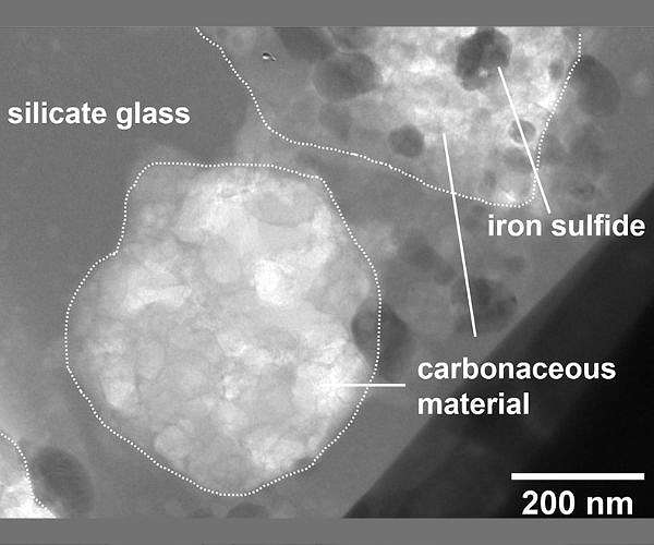New Findings from Ryugu Samples Reveal Cometary Organic Matter